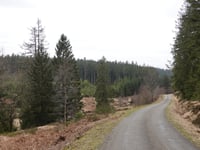 Raalkopf von Spohrbach