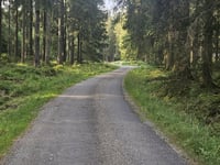 Pannensterzkopf über Raalkopf