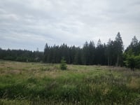 Pannensterzkopf über Raalkopf