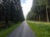 Pannensterzkopf über Raalkopf
