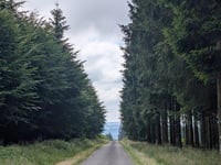 Pannensterzkopf über Raalkopf