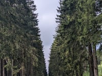 Pannensterzkopf über Raalkopf