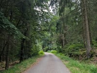 Pannensterzkopf über Raalkopf
