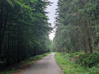 Pannensterzkopf über Raalkopf