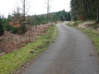 Pannensterzkopf über Raalkopf