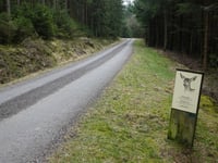Pannensterzkopf über Raalkopf