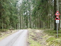 Pannensterzkopf über Raalkopf