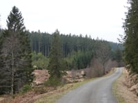 Pannensterzkopf über Raalkopf