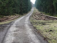 Pannensterzkopf über Raalkopf