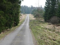 Pannensterzkopf über Raalkopf