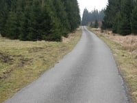 Pannensterzkopf über Raalkopf