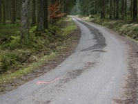 Pannensterzkopf über Raalkopf