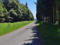 Pannensterzkopf über Raalkopf