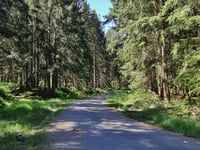 Pannensterzkopf über Raalkopf