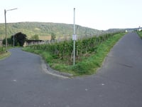 Rachtiger Höhe from Zeltingen