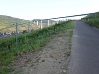 Rachtiger Höhe from Zeltingen