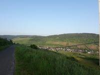 Rachtiger Höhe from Zeltingen