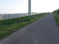 Rachtiger Höhe from Zeltingen