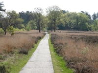 Radio Kootwijk via Kootwijkerpaadje
