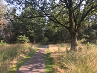 Radio Kootwijk via Kootwijkerpaadje