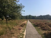 Radio Kootwijk via Kootwijkerpaadje