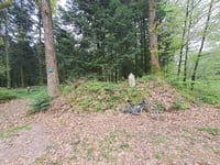 Radon da Signale d'Écouves
