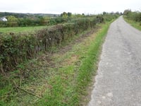 Raeren über Marienthalstrasse