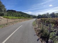 Rafal Blanc von Coll de n'Esteve