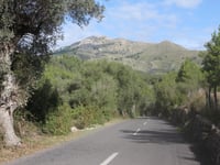 Rafal Blanc da Coll de n'Esteve