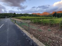 Rafal Blanc da Coll de n'Esteve