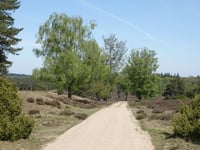 Ramenberg da Loenen