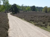 Ramenberg da Loenen