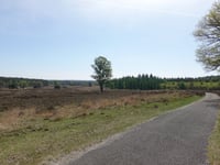 Ramenberg da Loenermark