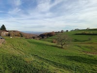 Rammersmatt von Bourbach-le-Bas