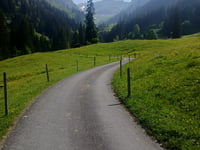 Ramslauenen da Reichenbach im Kandertal
