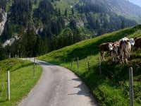 Ramslauenen from Reichenbach im Kandertal