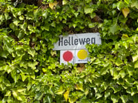 Rassberg über Langscheid