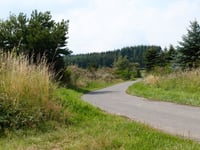 Rassberg via Langscheid