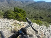 Rat Penat von Olivella