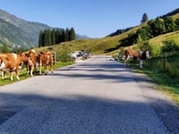 Rauriser Tal von Taxenbach