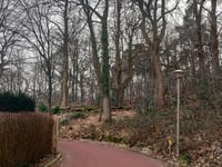 Ravenberg von Beek