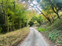 Rectory Lane von Middle Assendon