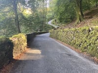 Red Bank von Grasmere