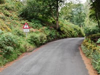 Red Bank von Grasmere
