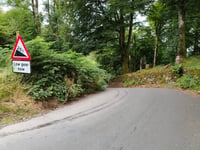 Red Bank von Grasmere