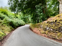 Red Bank von Grasmere