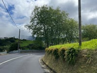 Redondo Da Ribeira Quente from Povoação
