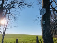 Côte de la Redoute