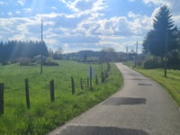 L'Ebisaille da Le Cros