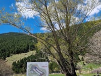 Refugio de Malniu / Bosc de les Comelles von Ger